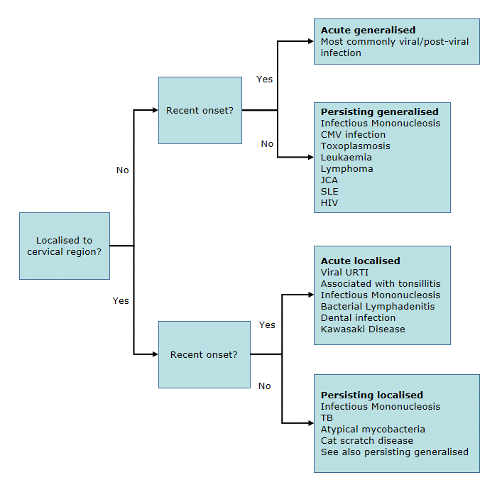 Cervical Lymphadenopathy Flowchart